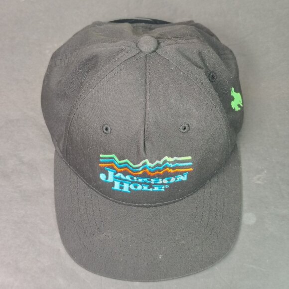 Jackson Hole Wyoming Hat Cap Snap Back Boys Black Ski Resort - Picture 9 of 14